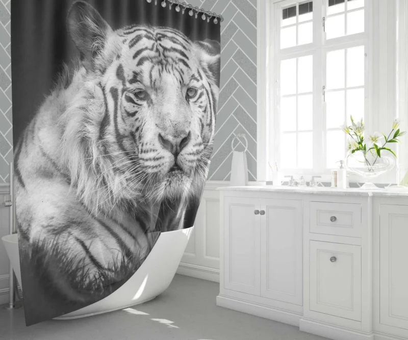 White Tiger Black & White Beauty Shower Curtain 1