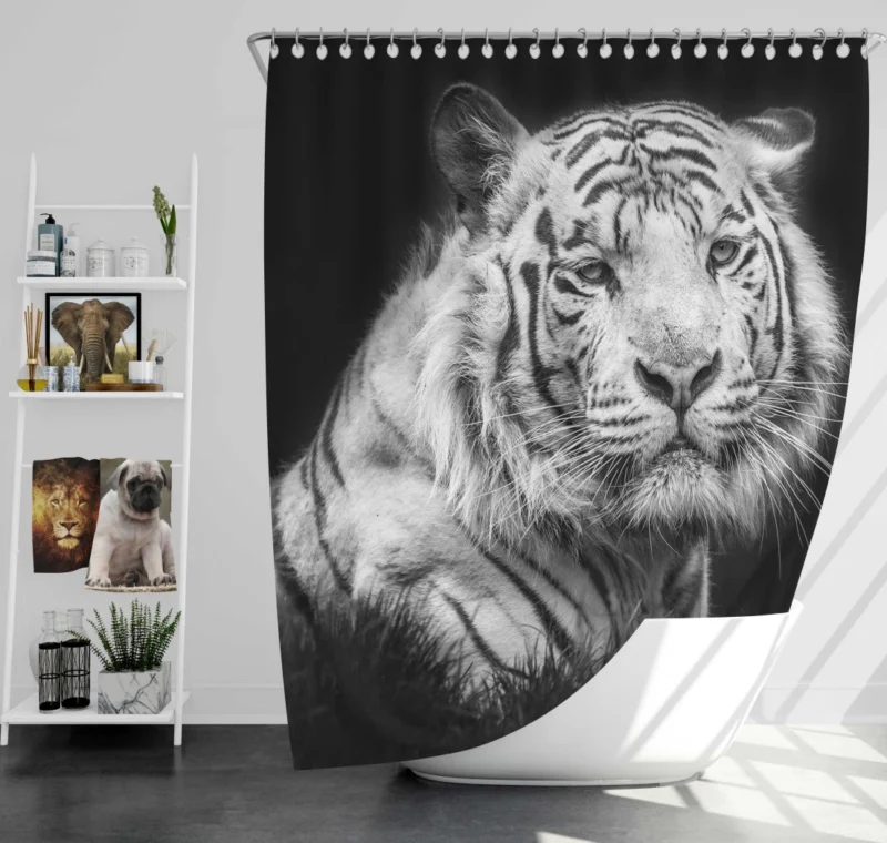 White Tiger Black & White Beauty Shower Curtain