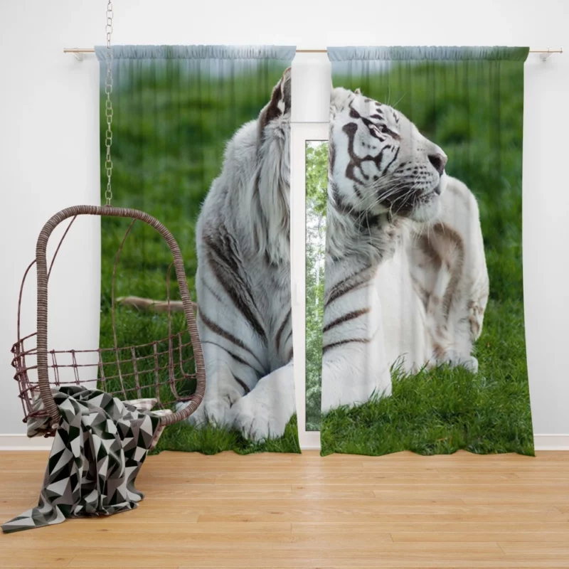 White Tiger Elegance Arctic Majesty Curtain