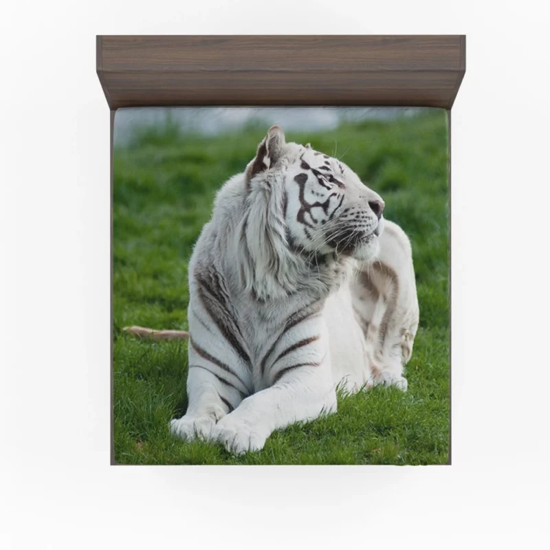 White Tiger Elegance Arctic Majesty Fitted Sheet 1