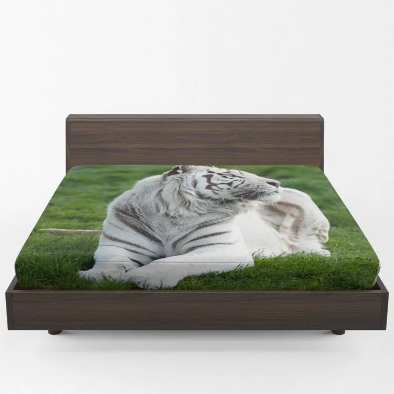 White Tiger Elegance Arctic Majesty Fitted Sheet