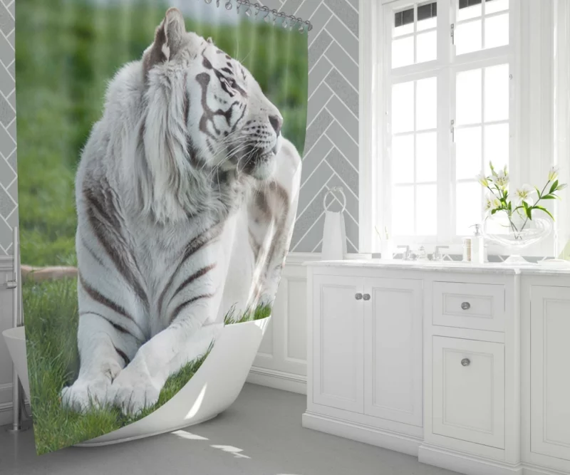 White Tiger Elegance Arctic Majesty Shower Curtain 1