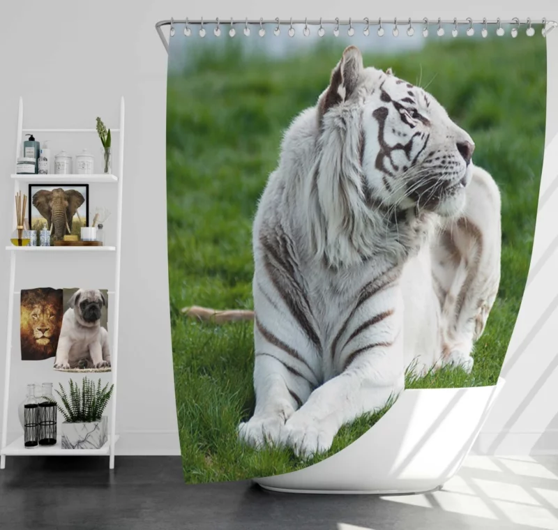 White Tiger Elegance Arctic Majesty Shower Curtain