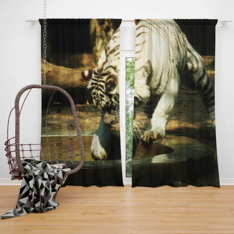 White Tiger Enigmatic Gaze Mystical Majesty Curtain