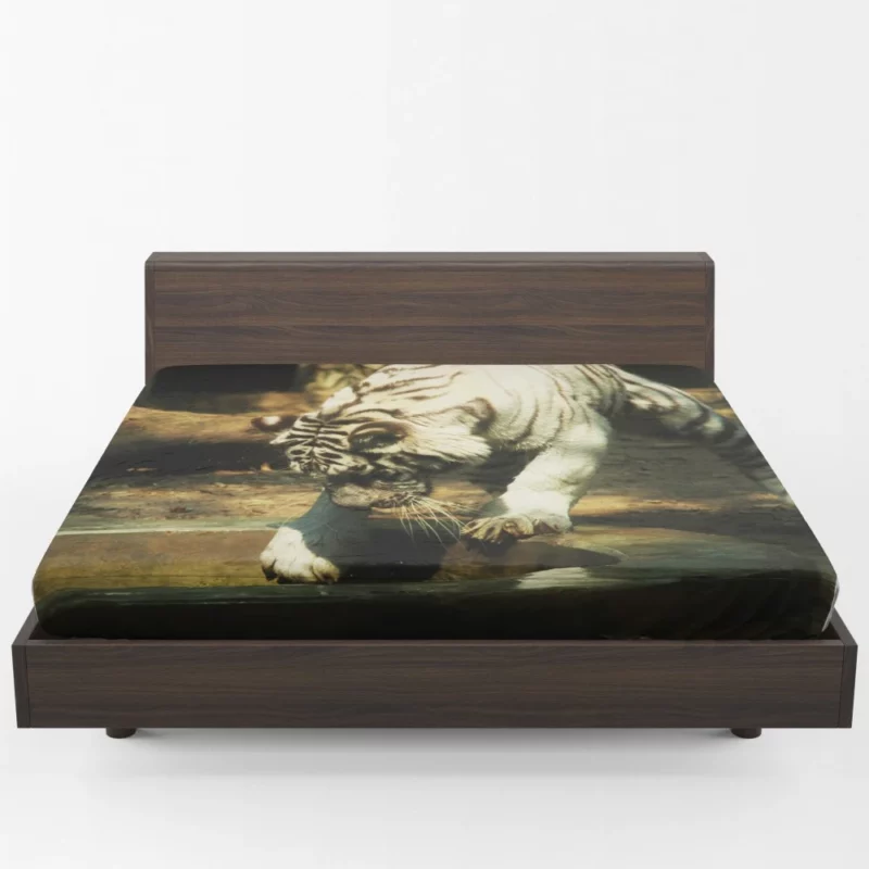 White Tiger Enigmatic Gaze Mystical Majesty Fitted Sheet