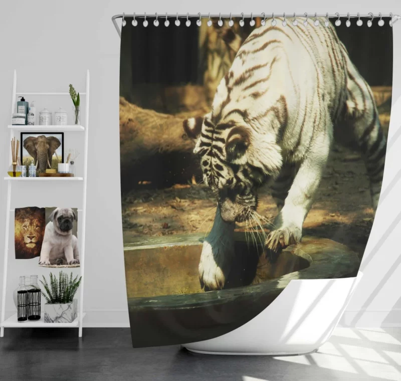 White Tiger Enigmatic Gaze Mystical Majesty Shower Curtain