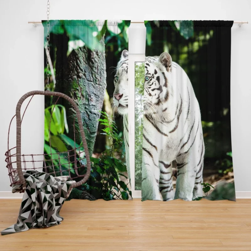 White Tiger Majestic Aura Curtain