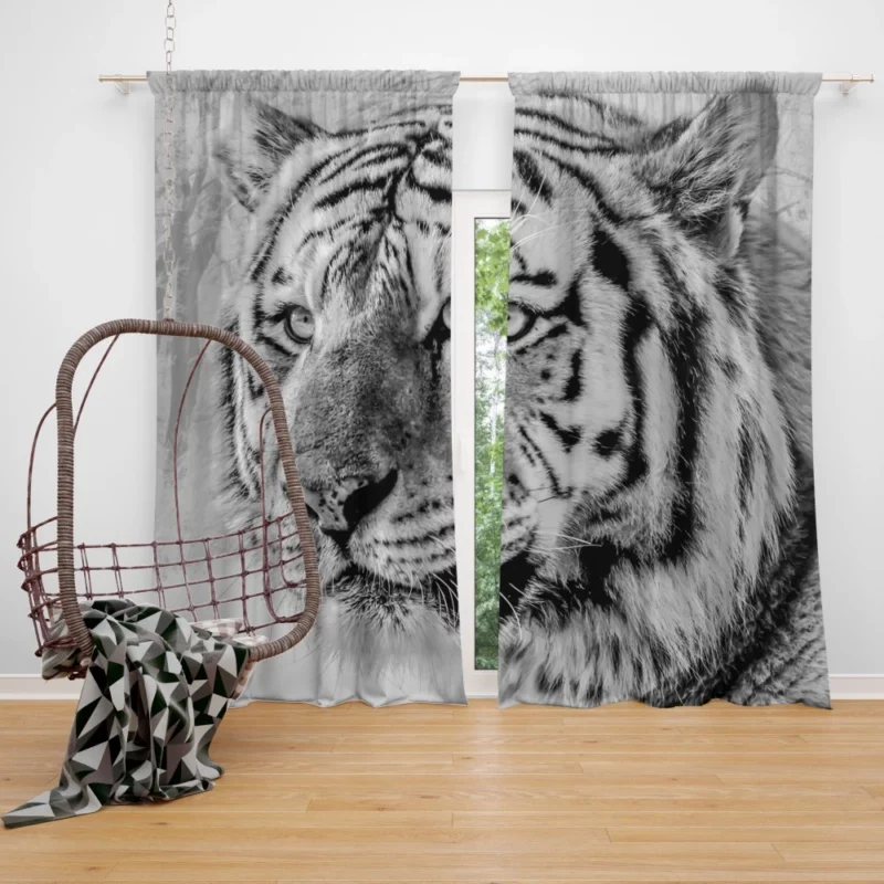 White Tiger Majestic Gaze Curtain