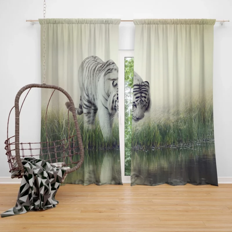 White Tiger Reflective Gaze Regal Majesty Curtain