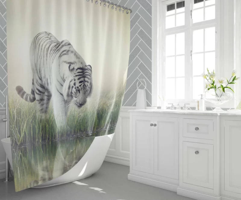 White Tiger Reflective Gaze Regal Majesty Shower Curtain 1