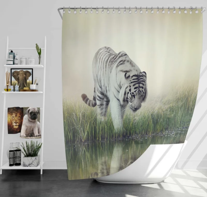 White Tiger Reflective Gaze Regal Majesty Shower Curtain