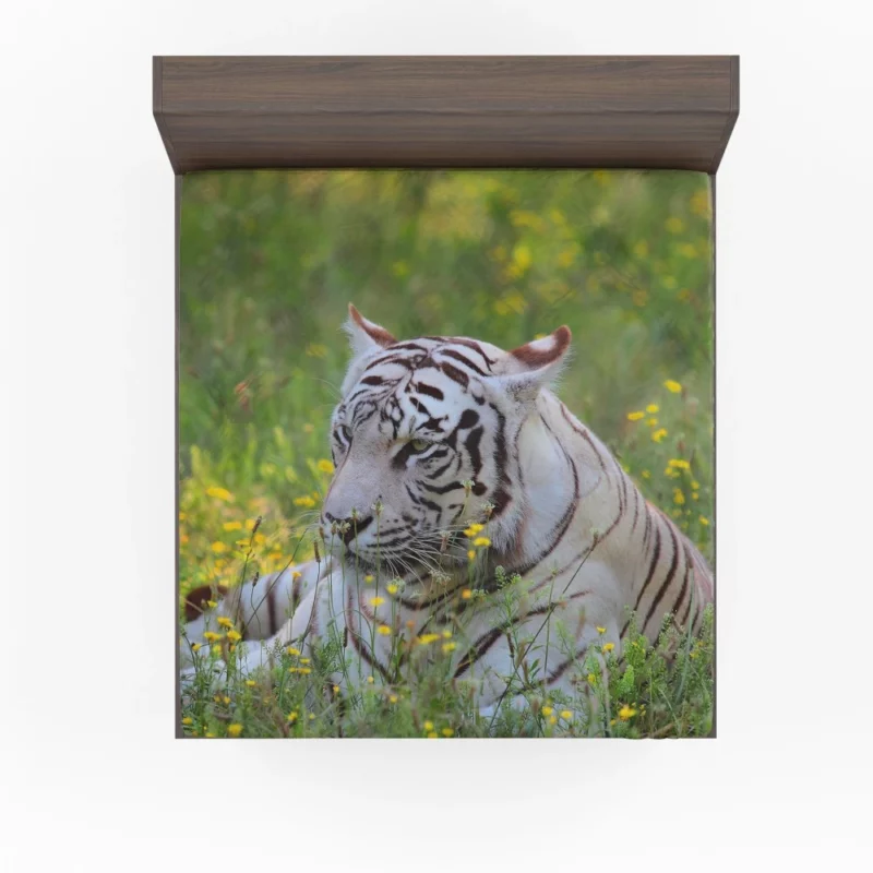 White Tiger Striking Gaze Enigmatic Beauty Fitted Sheet 1