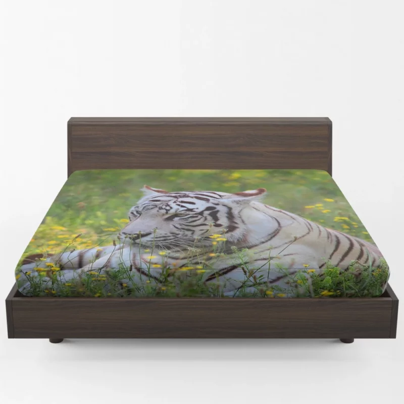 White Tiger Striking Gaze Enigmatic Beauty Fitted Sheet