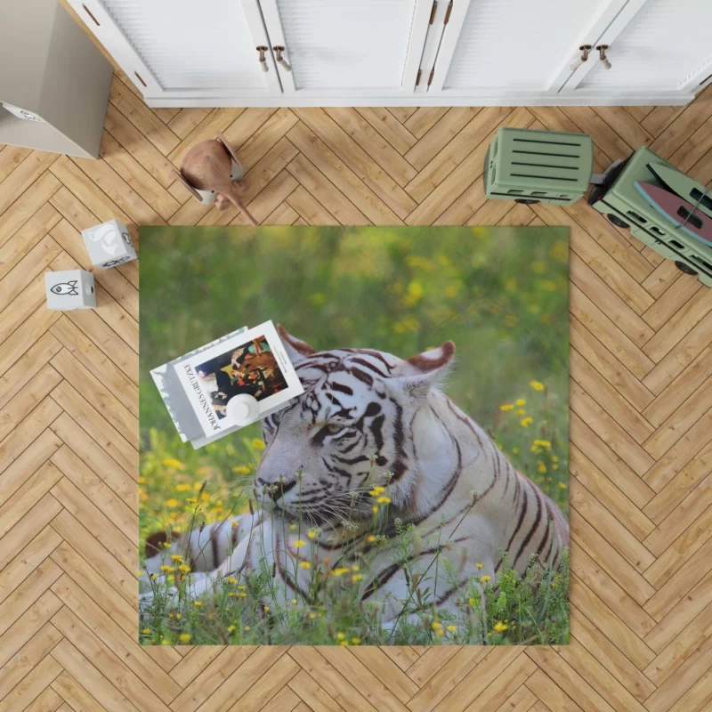 White Tiger Striking Gaze Enigmatic Beauty Rug