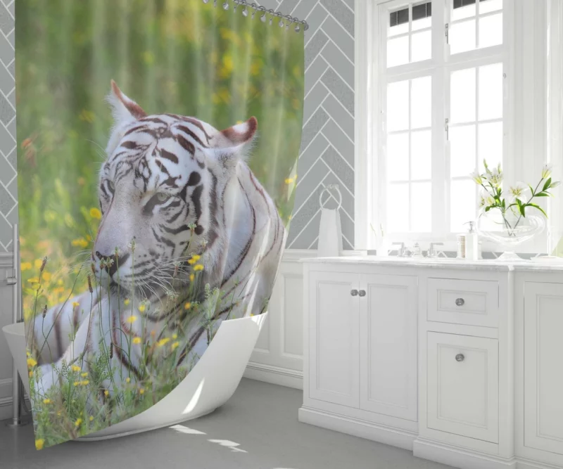 White Tiger Striking Gaze Enigmatic Beauty Shower Curtain 1