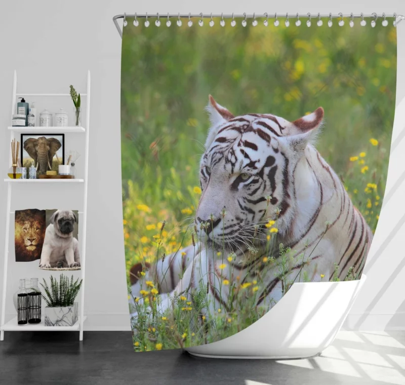 White Tiger Striking Gaze Enigmatic Beauty Shower Curtain