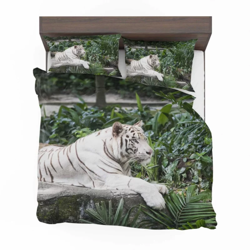 White Tiger Zoo Majesty Striking Beauty Bedding Set 1