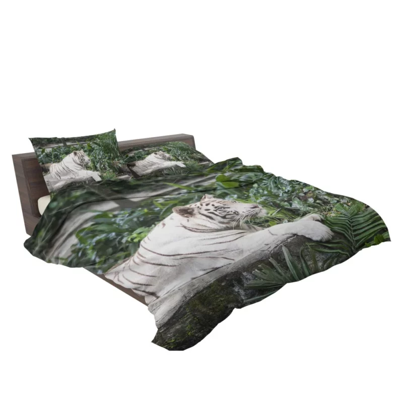 White Tiger Zoo Majesty Striking Beauty Bedding Set 2