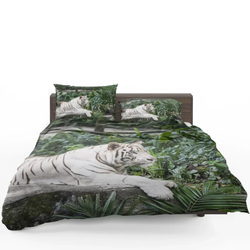 White Tiger Zoo Majesty Striking Beauty Bedding Set