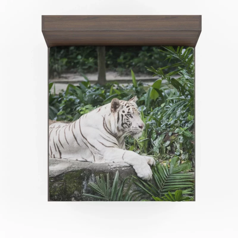 White Tiger Zoo Majesty Striking Beauty Fitted Sheet 1