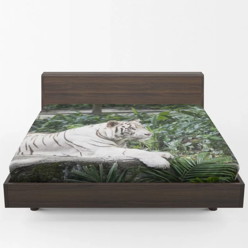 White Tiger Zoo Majesty Striking Beauty Fitted Sheet