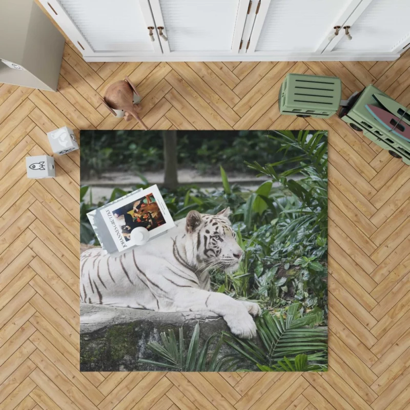 White Tiger Zoo Majesty Striking Beauty Rug