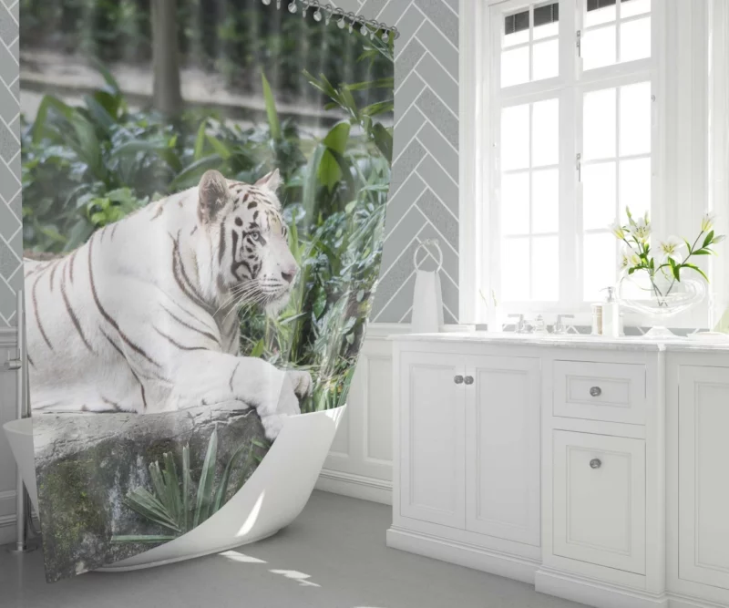 White Tiger Zoo Majesty Striking Beauty Shower Curtain 1