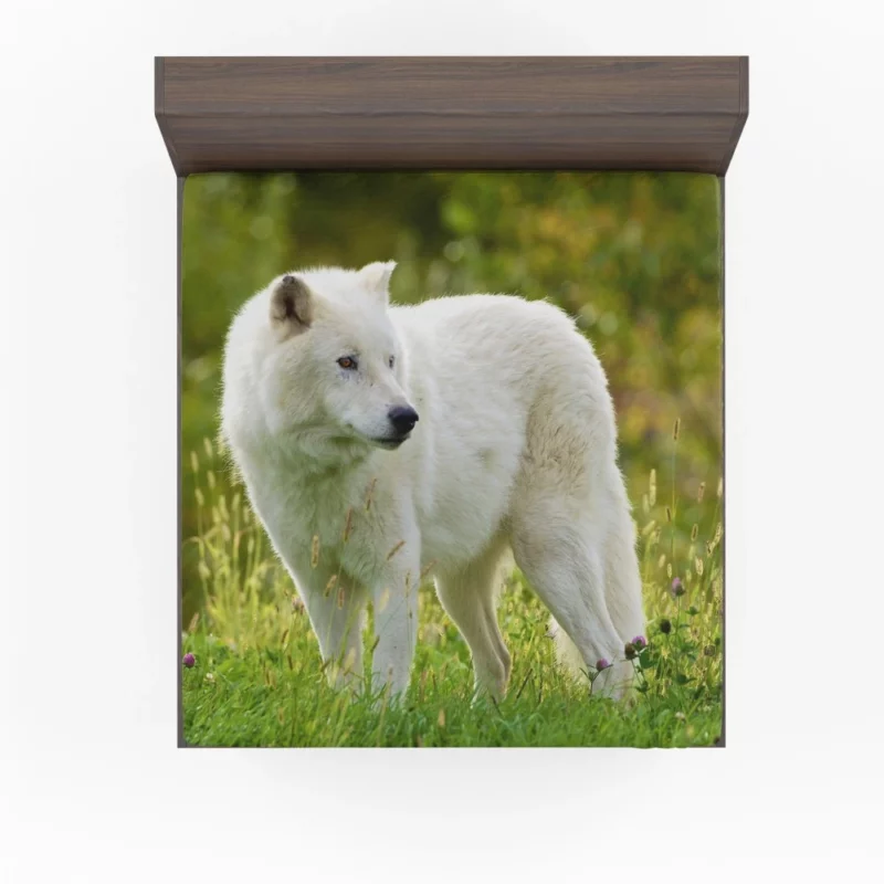 White Wolf Amidst Blossoms Majestic Aura Fitted Sheet 1