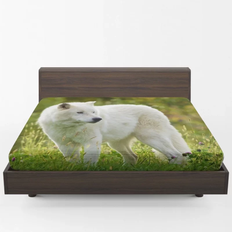 White Wolf Amidst Blossoms Majestic Aura Fitted Sheet