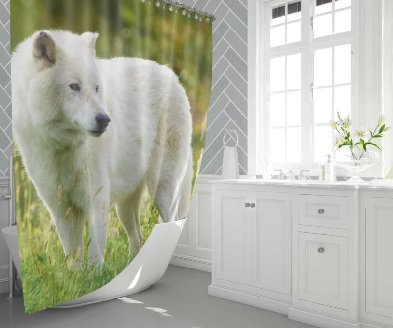 White Wolf Amidst Blossoms Majestic Aura Shower Curtain 1