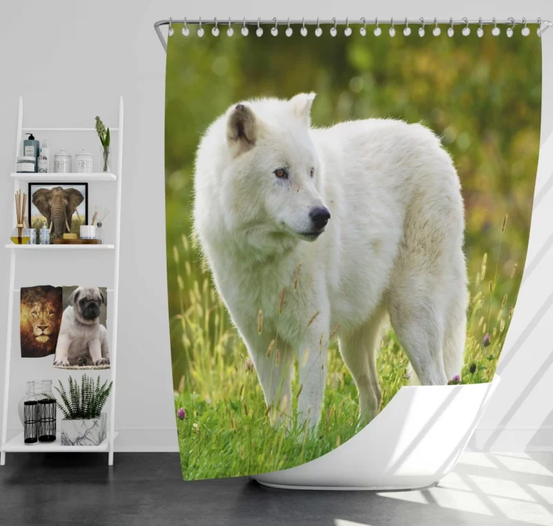 White Wolf Amidst Blossoms Majestic Aura Shower Curtain