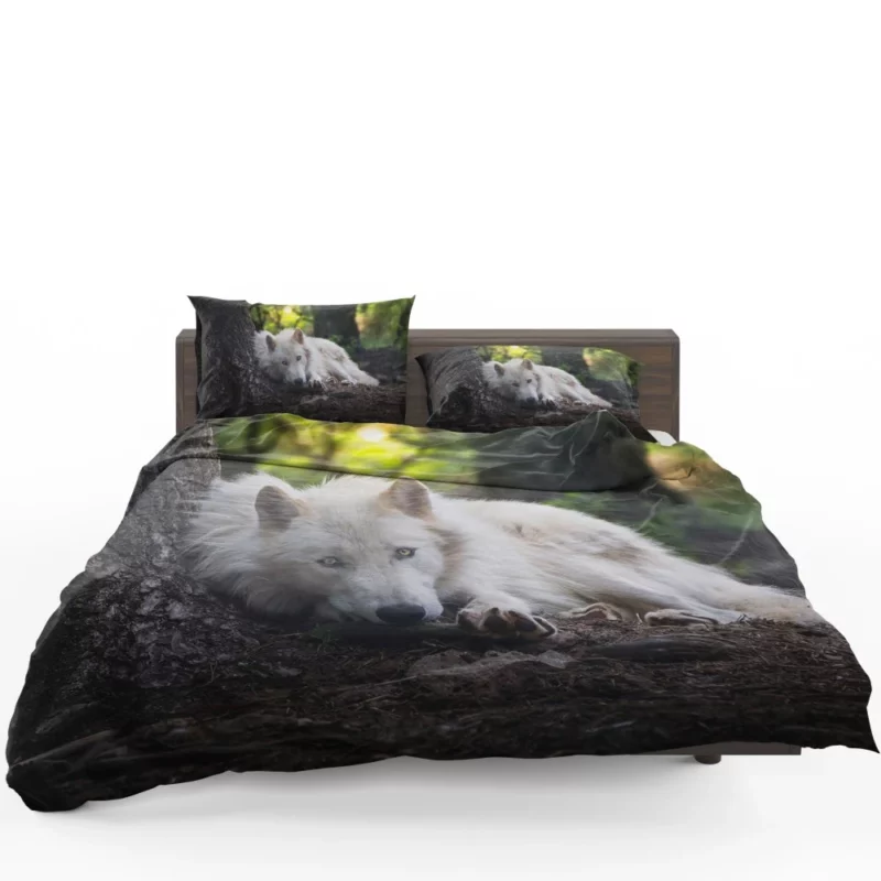 White Wolf Enigmatic Wilderness Gaze Bedding Set