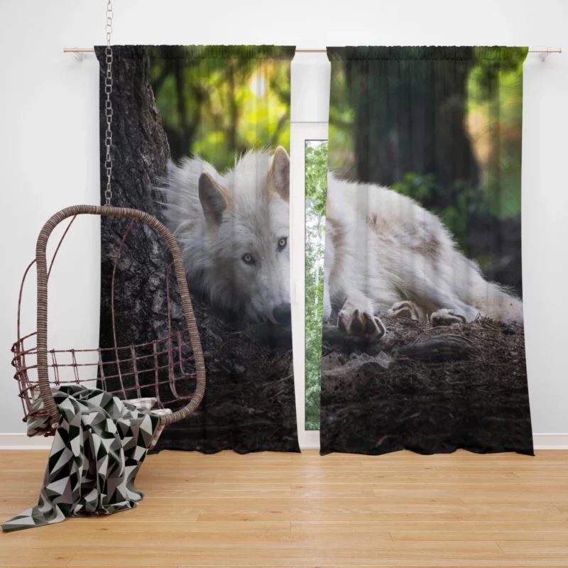 White Wolf Enigmatic Wilderness Gaze Curtain