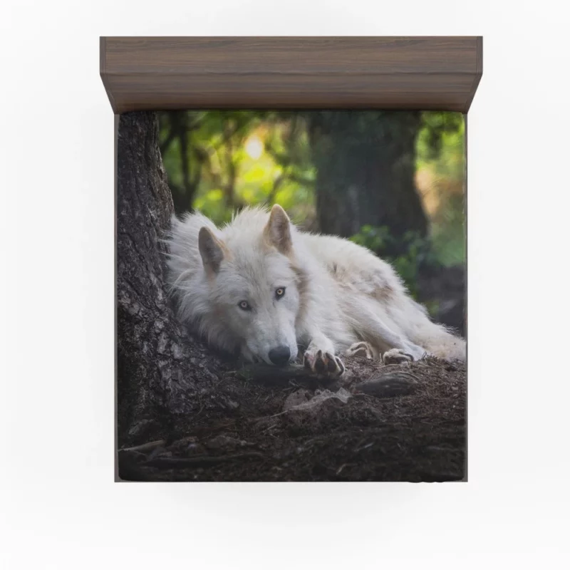 White Wolf Enigmatic Wilderness Gaze Fitted Sheet 1