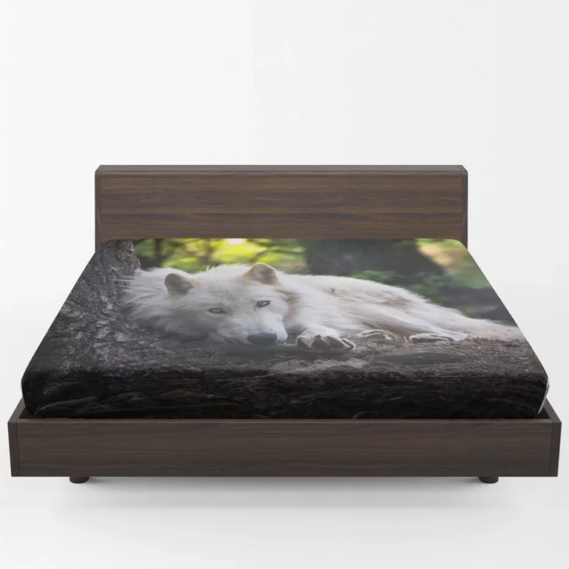 White Wolf Enigmatic Wilderness Gaze Fitted Sheet