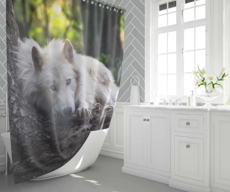 White Wolf Enigmatic Wilderness Gaze Shower Curtain 1