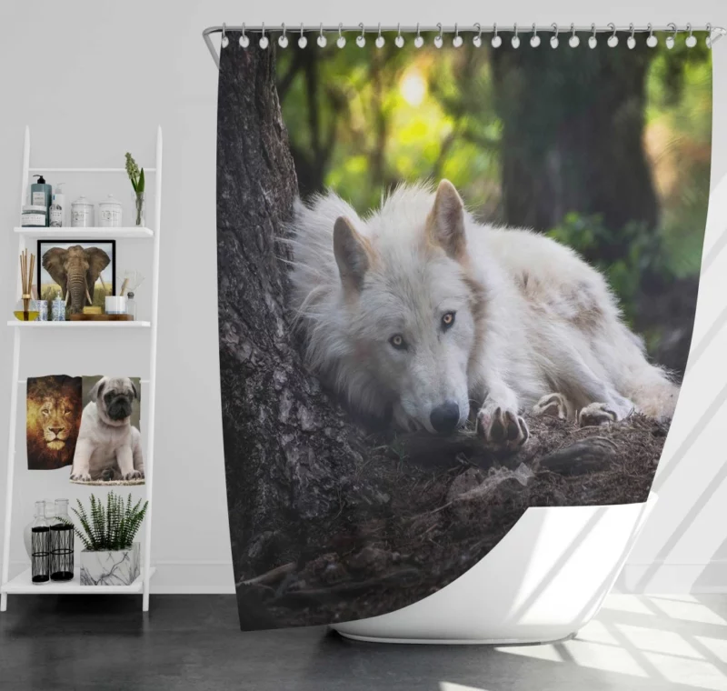 White Wolf Enigmatic Wilderness Gaze Shower Curtain