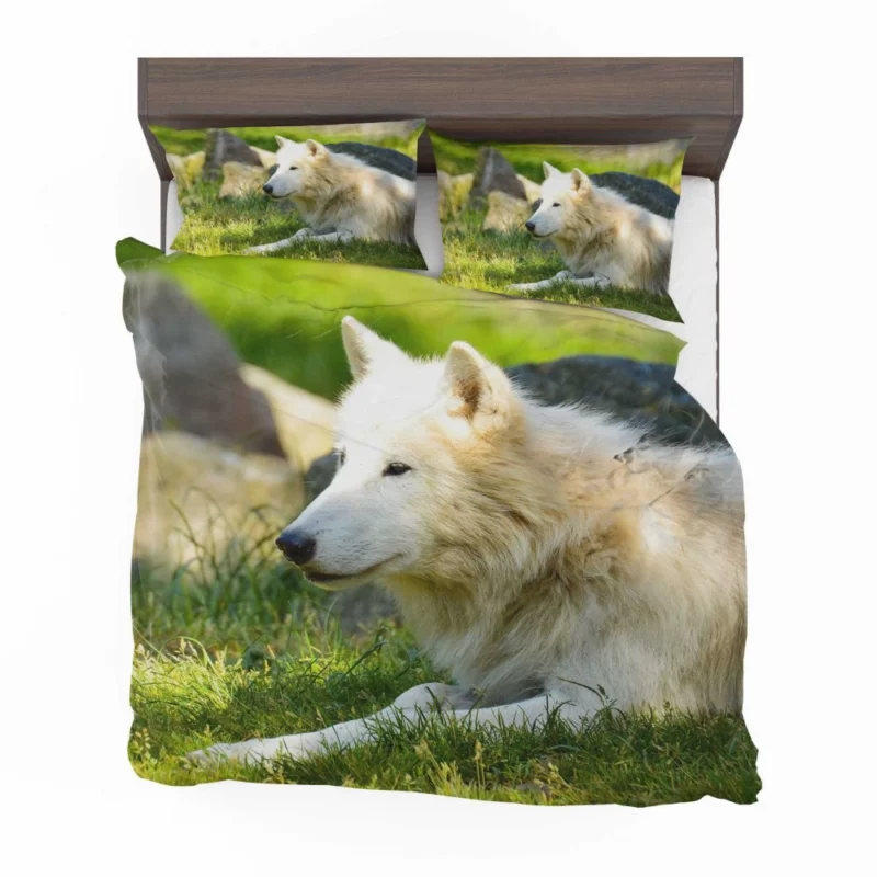 White Wolf Gaze Arctic Majesty Bedding Set 1