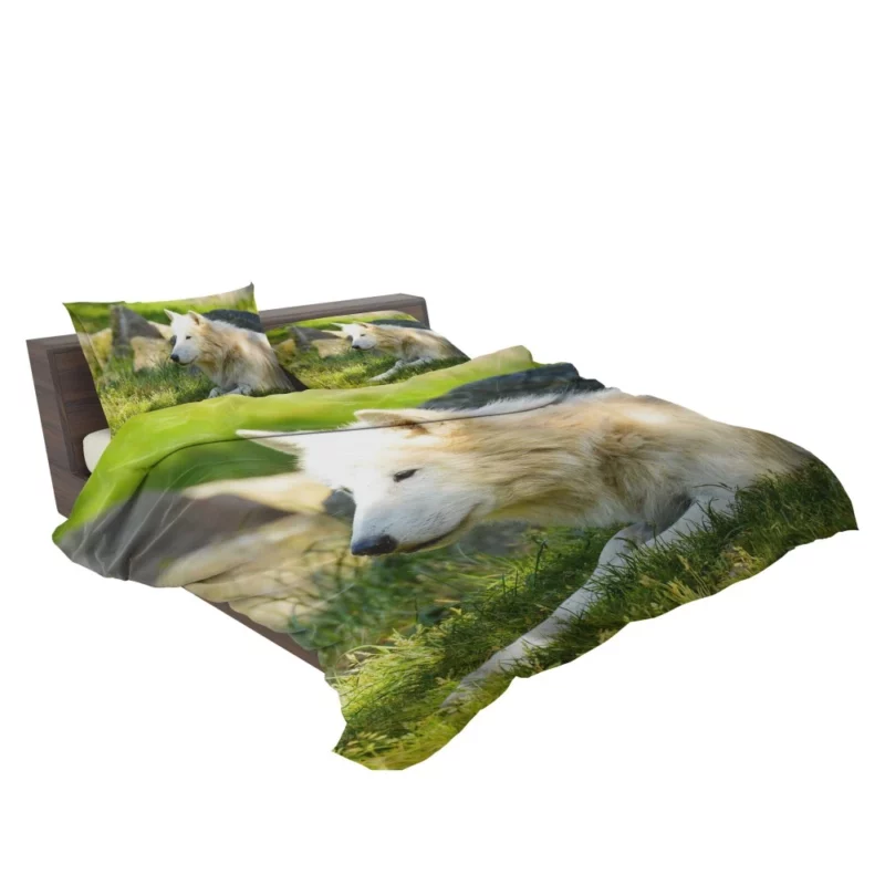 White Wolf Gaze Arctic Majesty Bedding Set 2