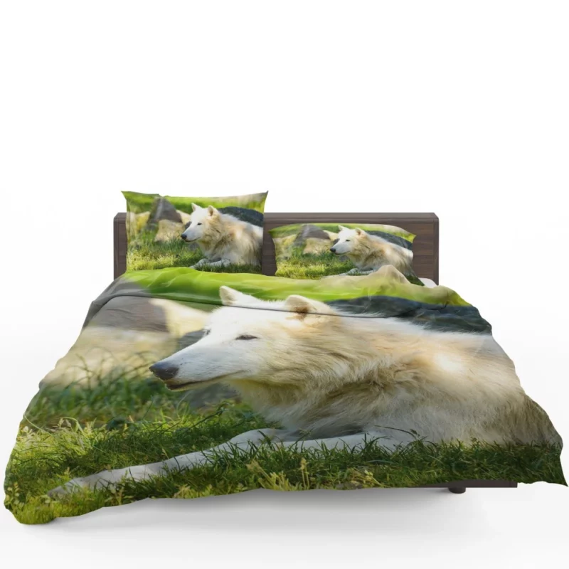 White Wolf Gaze Arctic Majesty Bedding Set