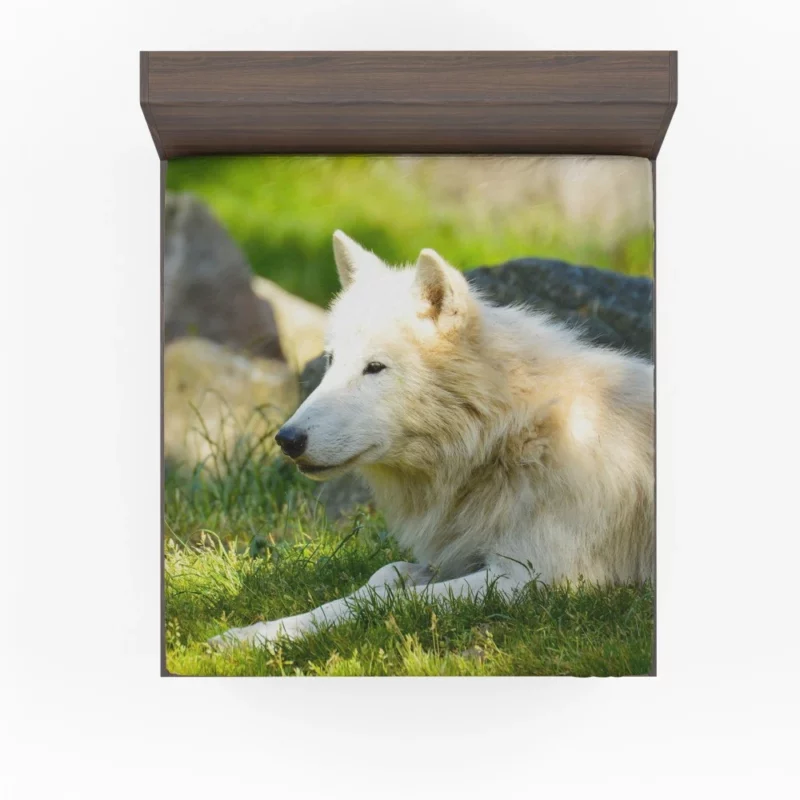 White Wolf Gaze Arctic Majesty Fitted Sheet 1