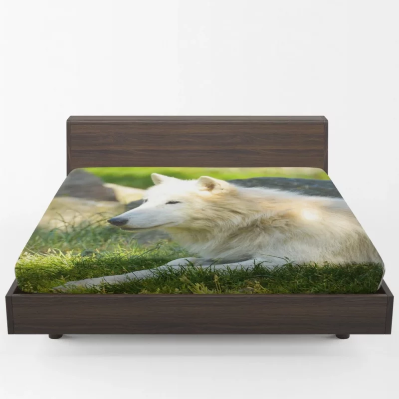 White Wolf Gaze Arctic Majesty Fitted Sheet