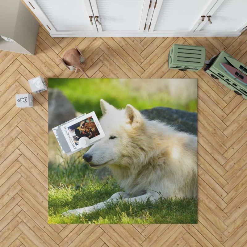 White Wolf Gaze Arctic Majesty Rug