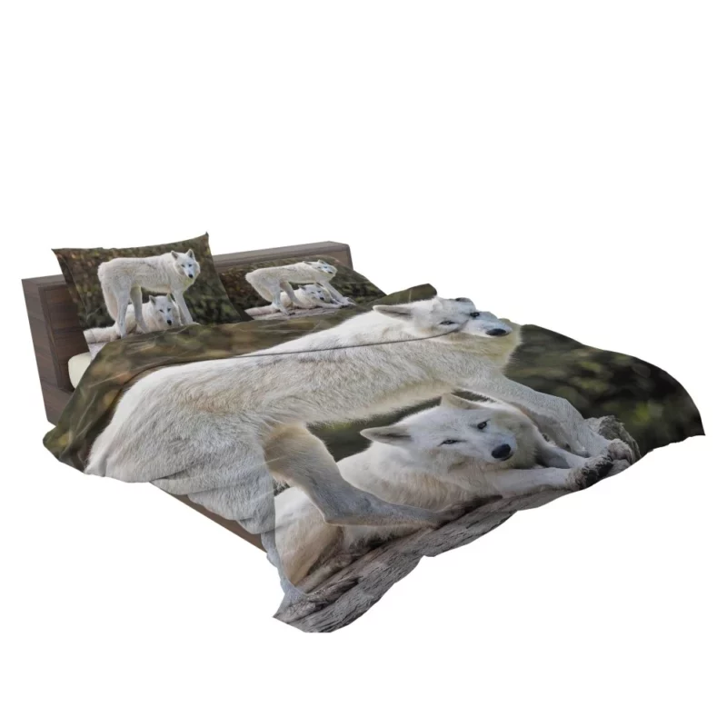 White Wolves Amidst Bokeh Arctic Majesty Bedding Set 2