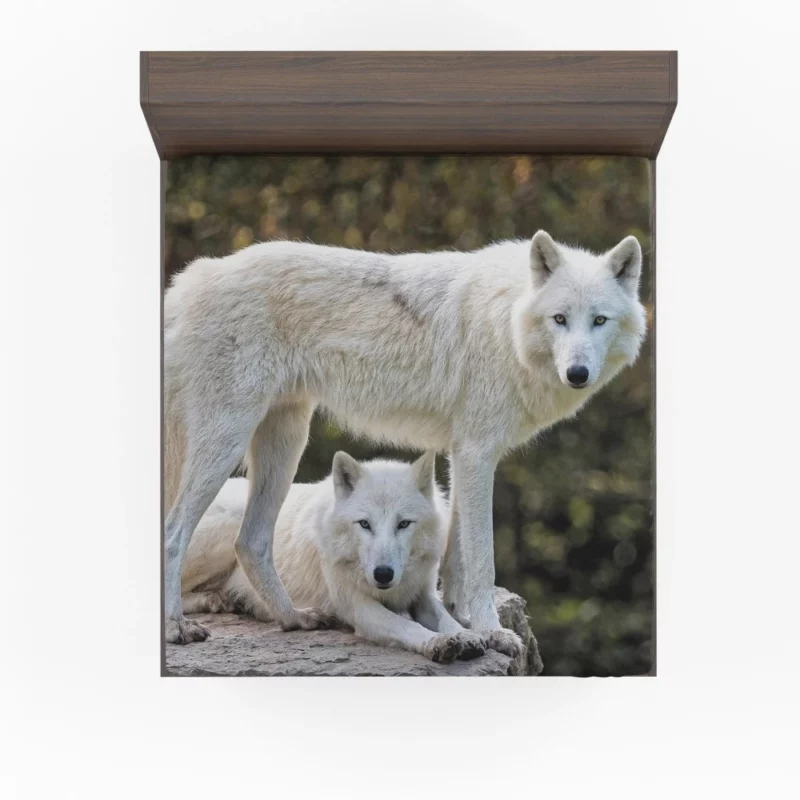 White Wolves Amidst Bokeh Arctic Majesty Fitted Sheet 1