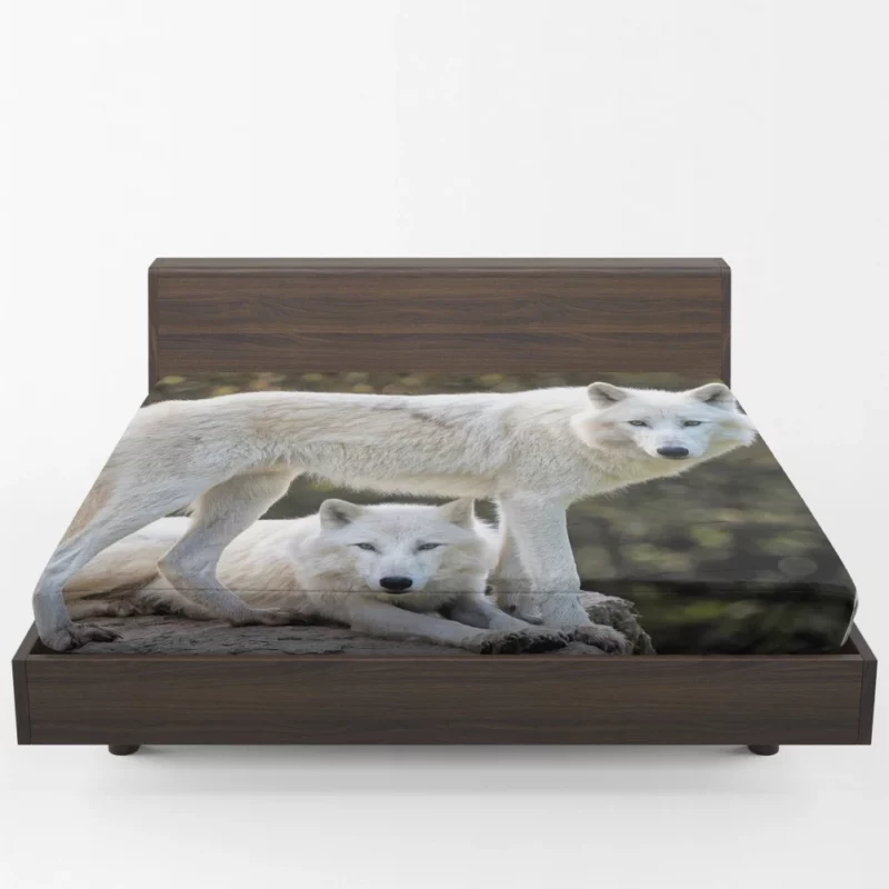 White Wolves Amidst Bokeh Arctic Majesty Fitted Sheet