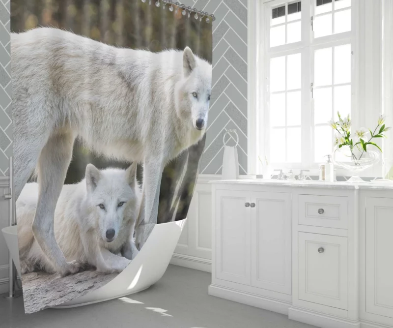 White Wolves Amidst Bokeh Arctic Majesty Shower Curtain 1