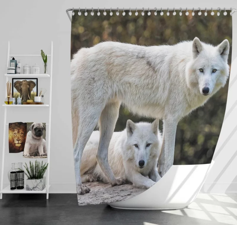 White Wolves Amidst Bokeh Arctic Majesty Shower Curtain