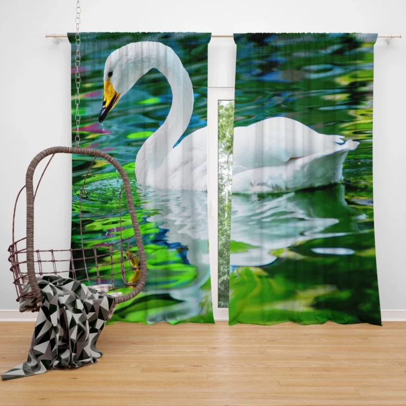 Whooper Swan Reflective Grace Water Beauty Curtain