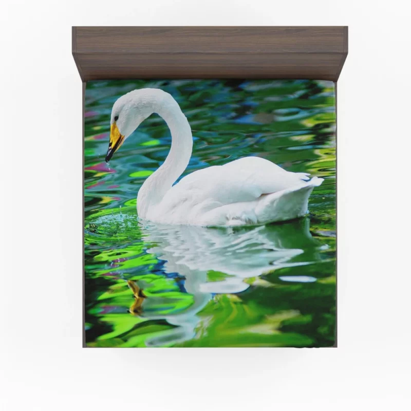 Whooper Swan Reflective Grace Water Beauty Fitted Sheet 1